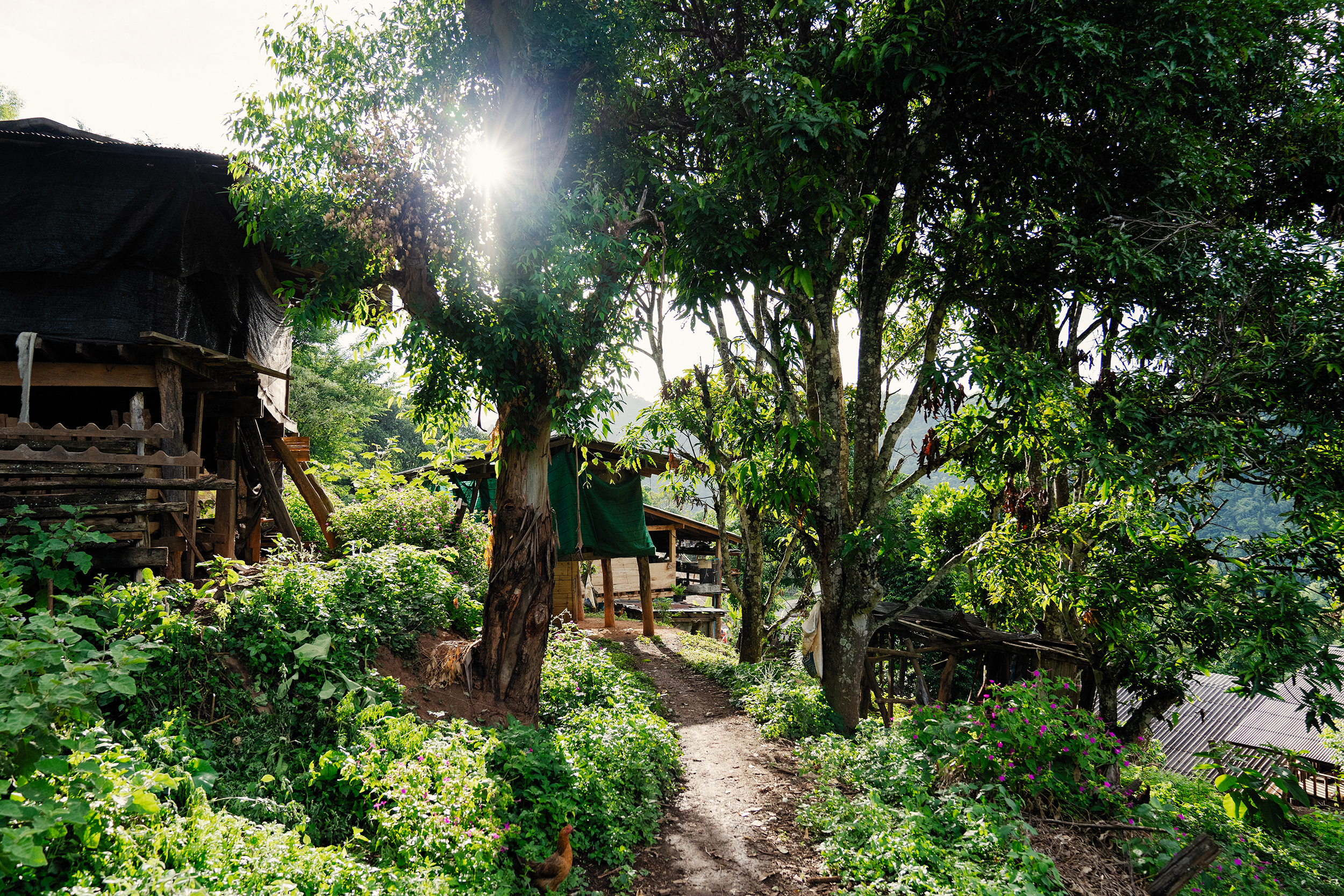 DSC07175-Edit-3