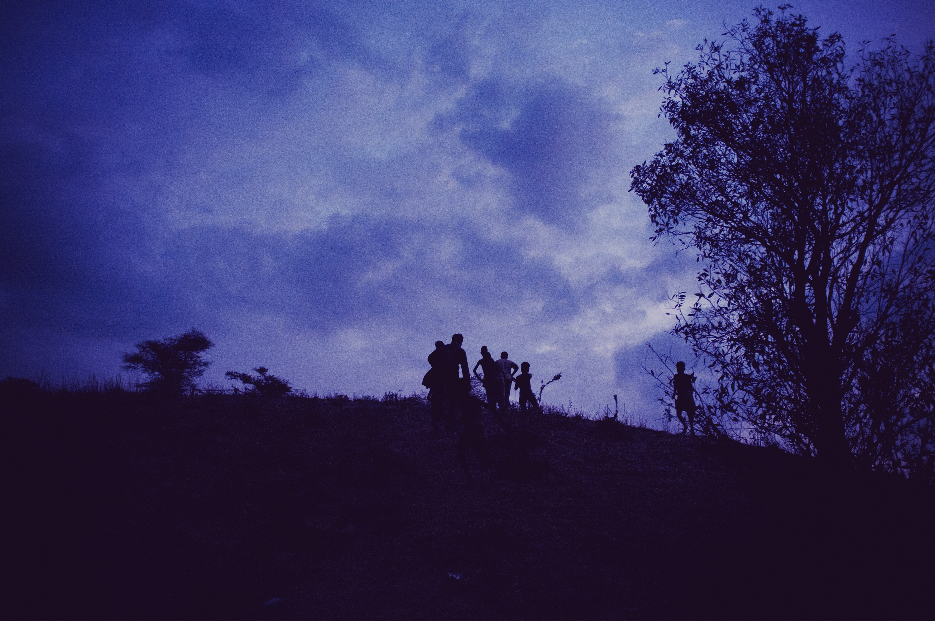 TR_PORTFOLIO_00049